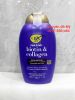 dau-goi-chong-rung-toc-ogx-biotin-collagen-shampoo-385ml-cua-my - ảnh nhỏ  1